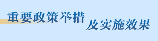 重要政策舉措及實施效果